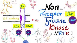 JAKSTAT Pathway — Nonreceptor Tyrosine Kinase NRTK  Cell Signaling  Endocrinology Playlist [upl. by Cyna]