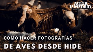 FOTOGRAFÍA de AVES desde HIDE  5 TRUCOS Y CONSEJOS [upl. by Anaitit]