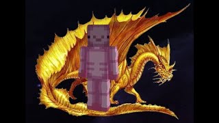 Obtaining the Golden Dragon Pet in Hypixel Skyblock [upl. by Aviv709]