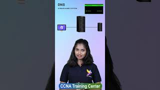 Did you know DNS dns domainnamesystem networking networkengineering ccnatraining [upl. by Nohshan]