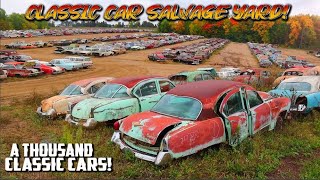 A THOUSAND CLASSIC CARS MASSIVE JUNK YARD Classic Car Salvage Yard Junktown USA Classic Cars [upl. by Peckham726]