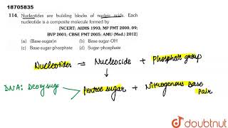 Nucleotide are building blocks of nucleic acidsEach nucleotide is a composite molecule formed by [upl. by Fachini828]