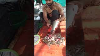 Amazing qatla fish cutting skills  shorts video [upl. by Akemehc]