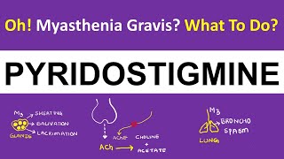 Pharmacology  Pyridostigmine  Myasthenia Gravis  How It Works [upl. by Donela]