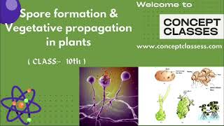 Spore Formation amp Vegetative Propagation in Plants 10th [upl. by Onairot]