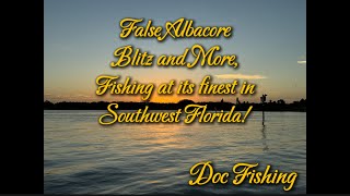 False Albacore Blitz and More Fishing at its Finest in SW Florida [upl. by Nosliw]