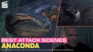 Best Attack Scenes from the Anaconda Movies Top 10 [upl. by Manella]