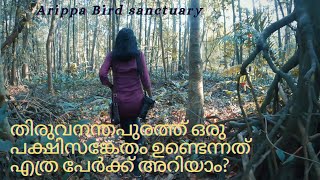 Bird Sanctuary in Thiruvananthapuram  Arippa Ecotourism  Arippa Bird Sanctuary [upl. by Elconin]