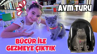 KEDİMİZ BÜCÜRÜ ÇANTASI İLE GEZMEYE ÇIKARIYORUZ  AVM TURU YAPTIK BAKIN ÇANTADA NE YAPTI [upl. by Eiclek638]