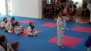 Kampfsport Taekwondo Kinder 46 Jahre [upl. by Bradman]