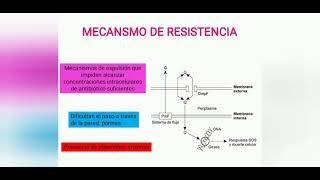 Farmacológia de las Quinolonas Sulfamidas y Trimetoprin [upl. by Nikolos]