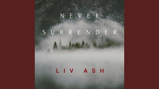 Never Surrender [upl. by Yrral]