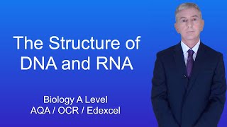 A Level Biology Revision quotPrimary Structure and Secondary Structure of Proteinsquot [upl. by Enyawal]