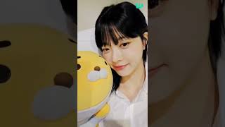 10분컷  LE SSERAFIM Weverse LIVE SUB 241020 [upl. by Auginahs]