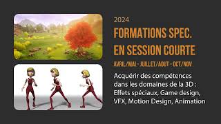 Formation infographies 3D en ligne spécialisation personnalises à la carte  concepteur graphique [upl. by Elleraj929]