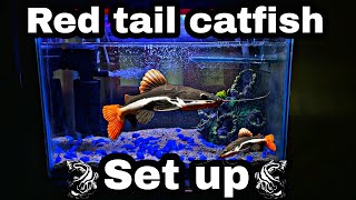 Building My New Redtail Catfish TankRedtail Catfish Tank BuildRedtailCatfishrohanbhaktavlogs420 [upl. by Anomer598]