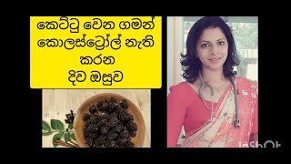 කෙට්ටු වෙන ගමන් කොලස්ට්‍රෝල් අඩු කරන දිව ඔසුව  Ayurvedic remedy for control cholesterol [upl. by Oren603]