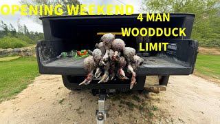 THE WOOD DUCKS WANTED IN 4 MAN LIMIT [upl. by Adnulahs733]