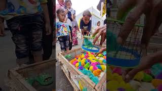 beli ayam warna warni ayamwarnawarni hewanlucu shortvideo [upl. by Indys475]