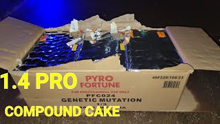 Genetic Mutation  PYRO FORTUNE FIREWORKS [upl. by Hayse]