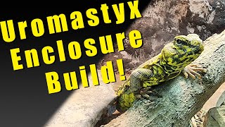 Building my uromastyx a new enclosure [upl. by Jakob570]