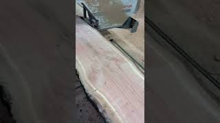 Making timber from a Prunus Serotina with the Pilous sawmill [upl. by Barbaresi]