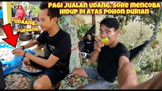 SERUNYA HIDUP DI ATAS POHON DURIAN TENGAH SAWAH [upl. by Eneryt]