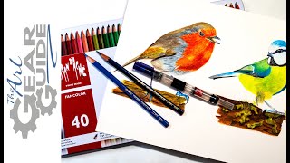 Caran Dache Fancolor Bird Speed Painting [upl. by Clark]