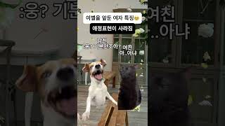 이별을 앞둔 여자 특징 고양이 [upl. by Intihw337]