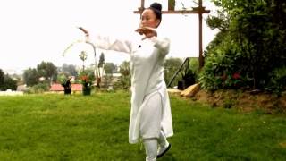 Wudang Five Animal Qi Gong Tiger 武當五行氣功（虎） [upl. by Asiluy]