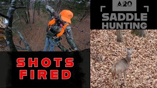 SADDLE HUNTING  HUGE DOE DOWN [upl. by Angle391]