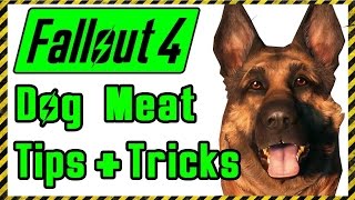 Fallout 4 Dog Meat Tips amp Tricks [upl. by Bibbie]