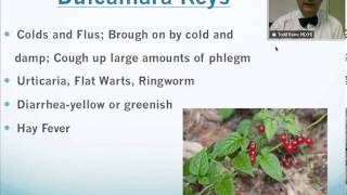 Dulcamara Homeopathic Medicine Tips For Beginners [upl. by Savinirs]