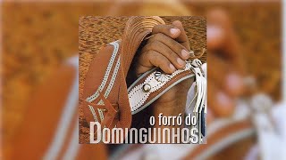 Dominguinhos  quotLembrando de Vocêquot O Forró do Dominguinhos2003 [upl. by Labotsirhc20]