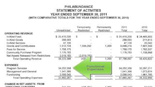 YPTC Training Videos Unique Elements of Nonprofit Financial Reports [upl. by Ongun]