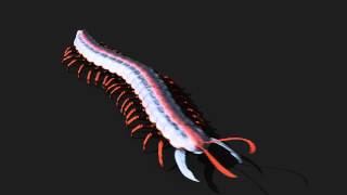 Centipede Animation Test  Blender Animation  Primeval Revelations [upl. by Fawnia548]