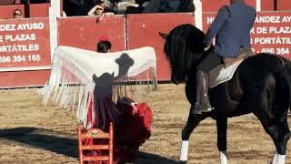 quotEl Arte de Andalucía a Caballoquot de Carmelo Cuevas en las Fiestas 2024 de Hoyo de Manzanares [upl. by Briana]