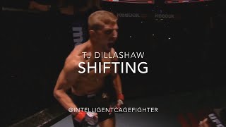 TJ Dillashaw Footwork Shifting [upl. by Marquita138]