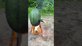 Survival Skills SIMPLE and USEFUL with steam bad water in watermelon bushcraft camping outdoors [upl. by Resay]