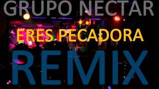 ERES PECADORA REMIX GRUPO NECTAR [upl. by Ariay717]