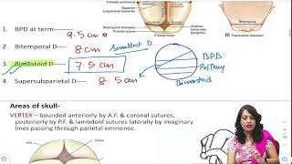 Mechanism of Normal Labor Part 1 [upl. by Iridissa119]