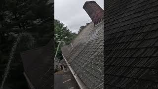 ROOF CLEANING TIP FOR BEGINNERS softwashing roofcleaning pressurewashing [upl. by Dlorrej]