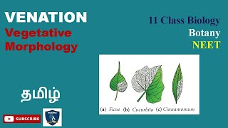 Venation in Tamil I Vegetative Morphology I Botany I Class 11 TNSCERTCBSE NEET [upl. by Aiciram]