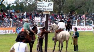 Jineteadas de la 34º Doma de San Justo Santa Fe [upl. by Aivatnuahs]