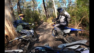 Exploring Neerim on Dirt Bikes 23 [upl. by Sheets570]