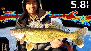 Shallow Walleyes are the BEST Walleyes Ice Fishing in 58ft [upl. by Eben]