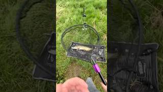 Pike fishing the river Wychwood Agitator setup fishing pikefishing lurefishing [upl. by Otis]