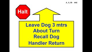 ANKC 2021 Rally Sign 46 Halt – Leave Dog  Recall Advanced [upl. by Sall]