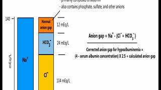 Understanding Anion Gap in 5 minutes [upl. by Nysilla]