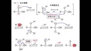 Fischerのエステル化（アプリ『有機化学 基本の反応機構』より） [upl. by Olympium]